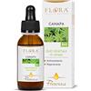 FLORA Olio di Canapa BIO‑COSMOS 100 % Puro 50 ml | Spremuto a Freddo dai Semi | Antiossidante Ricco di Omega‑3‑6 e Vitamina E | Viso Corpo Capelli | Base Aromaterapia | Vegan Made in Italy