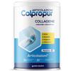 PROTEIN SA COLPROPUR ARTICOLAZIONI 336G