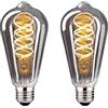 BNITITU Lampadina LED vintage E27, lampadina vintage dimmerabile E27 4W ST64 E27 LED, lampadina E27 vintage Edison LED E27 ideale per illuminazione nostalgica e retrò - vetro grigio fumo - 2 pezzi（ST64 YHS）