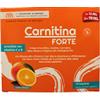 PALADIN PHARMA SpA SANAVITA Carnitina Forte 14 Bustine