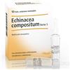 GUNA SpA HEEL ECHINACEA COMPOSTA S FORTE 10 FIALE