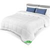 VOUNOT® Piumone Letto Matrimoniale 200x200 cm, Piumino Caldo 300 GSM per 4 Stagioni, Trapunta Autunnale e Invernale, 100% Microfibra, Bianco