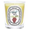 Diptyque Paris Citronelle 190 GR - 190 GR
