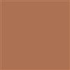 Diego Dalla Palma All In One - Highlighter - N. 63 BRONZO