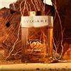 Bulgari Bulgari Man Terrae Essence - 100 ML