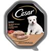 CESAR Junior in vaschetta 150g Paté con tacchino e vitello per cuccioli