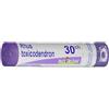 BOIRON RHUS TOXICODENDRON BOIRON 30CH 80GR 4G