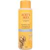 BURT'S BEES FOR PETS Burts Bees Tearless Shampoo e balsamo 2 in 1 per Cuccioli con latticello e Olio di Lino, 473 ml, Bianco