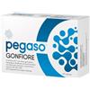 PEGASO GONFIORE 60CPS