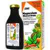 SALUS HAUS Gmbh & Co KG MAGNESIUM MINERAL DRINK 250ML