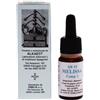 ALKAEST Srl QUINTESSENZA QE12 MELISSA 10ML