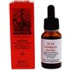ALKAEST Srl TS GINKGO BILOBA 20ML