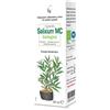 CAIRA LABORATORIO ERBORIS CAIRA SALIXIUM Macer.Gtt 50ml