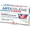 GRICAR CHEMICAL Srl soc. unico ARTICOLENE FT INTEGRAT 60TAV