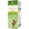 CAIRA LABORATORIO ERBORIS CAIRAGEM IMMUNIX BIO GTT 30ML