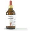 CENTO FIORI Srl RIBES GEMME 100ML MG