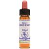 NATUR Srl SWEET CHEST ESS 10ML INGL HERB