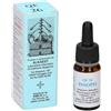 ALKAEST Srl QUINTESSENZA Q26 ISSOPO 10ML