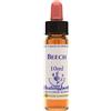 NATUR Srl BEECH ESS 10ML INGL HERBS