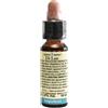 LABORATORIO ERBORISTICO D IMPATIENS 10ML DI LEO