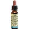 LABORATORIO ERBORISTICO D CHICORY 10ML DI LEO