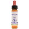 NATUR Srl CHICORY ESS 10ML INGL HERBS
