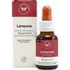 CENTO FIORI Srl BASEGEMMO LAMPONE 30ML