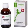 FITOMEDICAL Srl RIBES NE 50ML MG FTM