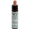 SANTIVERI Sa CHICORY 10ML AINSWORTHS