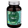 SANTIVERI Sa FUCUS ALGA BIO 113CPR 60G NF