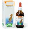 ALTA NATURA-INALME Srl Alta Natura, Gemmavis Betulla Linfa, 50 ml