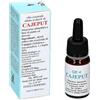 ALKAEST Srl Quintessenza, QE4 Cajeput Gocce, 10 ml
