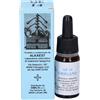 ALKAEST Srl Quintessenza, QE14 Origano Gocce, 10 ml