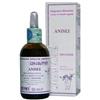 ARCANGEA Srl ANISEI CIRCULATUM 50ML