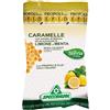 SPECCHIASOL Srl EPID CARAM LIMONE/MELISSA 3KG