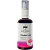 BUSH BIOTHERAPIES Pty Ltd PASSION LOVE VAP 50ML AUS BUSH