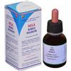 HERBOPLANET Srl MSA Ribes Nigrum, 50 ml