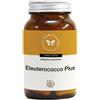 CENTO FIORI Srl ELEUTEROCOCCO PLUS 100CPS VEG