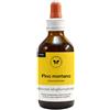 CENTO FIORI Srl PINO MONTANO GEMME 100ML MG