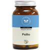 CENTO FIORI Srl PSILLIO 100CPS VEG