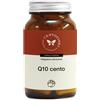 CENTO FIORI Srl Q10 CENTO 100CPS VEG