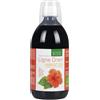 NATURA SERVICE Srl LIGNE DREN HIBISCUS 500ML