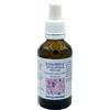 VEGETAL PROGRESS Srl DAMAROSA TINTURA PETALI ROSA 50ML