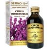 DR.GIORGINI SER-VIS Srl CERCIS S(GIUDA)LINFA GEMMO10+ 100ML