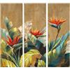 Agave Quadro Sterlizie Set 3 Pezzi 40x120 cm