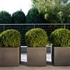 Slide Vaso Quadra con Ruote 45x45xh46 cm Grigio Elefante