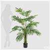 Enzo De Gasperi EDG Enzo De Gasperi Pianta Palma Areca con Vaso H150 cm