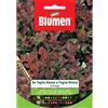 Blumen lattuga da taglio rossa a foglia riccia