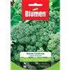 Blumen cavolo broccolo ramoso calabrese