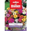 Blumen portulaca grandiflora doppia in miscuglio